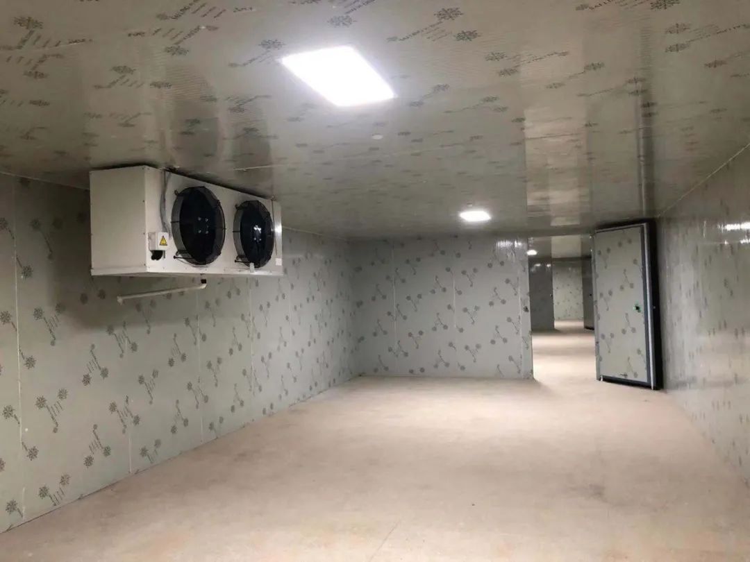 朔州气调保鲜冷库造价